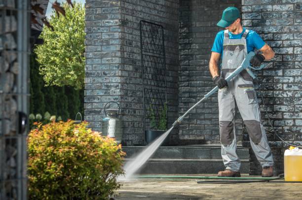 Best Spring Cleaning  in Worthington, MN